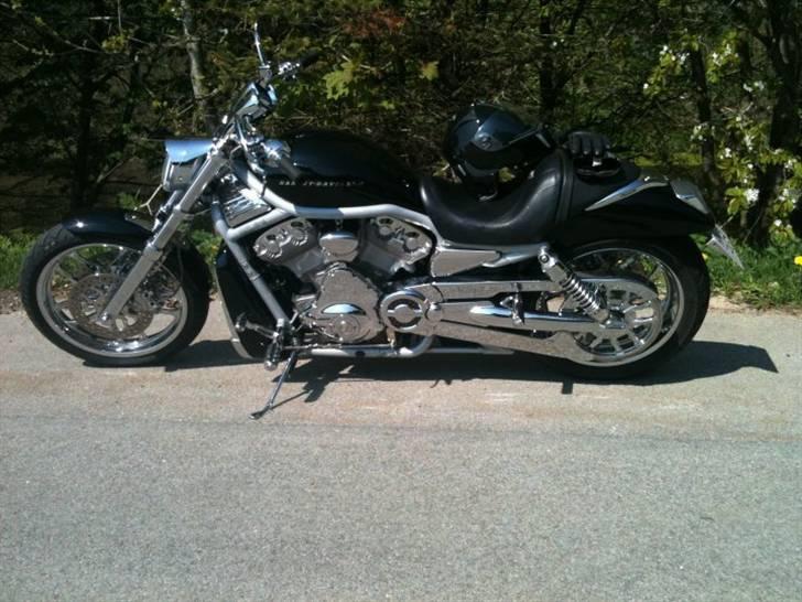 Harley Davidson V-rod - SOLGT billede 1