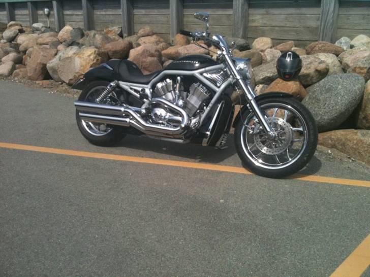 Harley Davidson V-rod - SOLGT billede 2