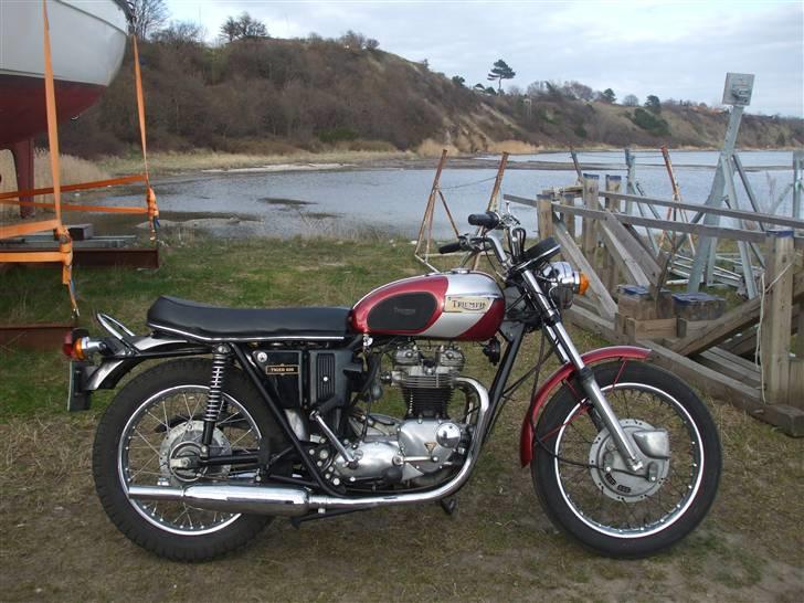 Triumph Tiger billede 1