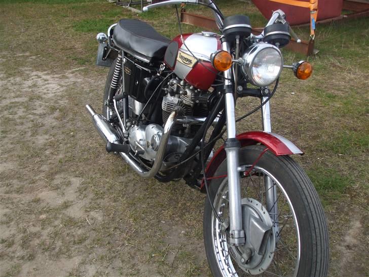 Triumph Tiger billede 2