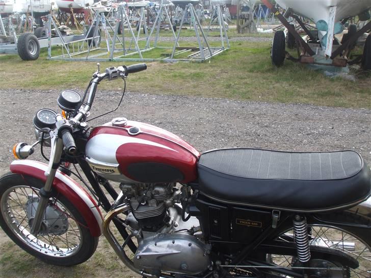 Triumph Tiger billede 3