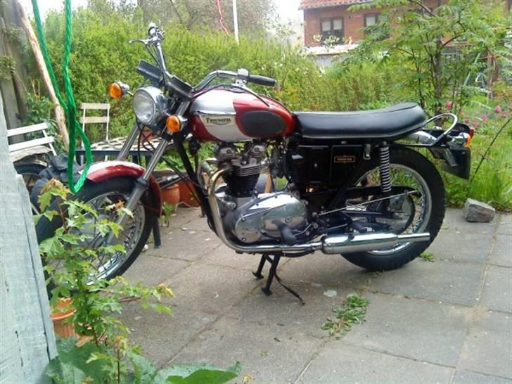 Triumph Tiger billede 5