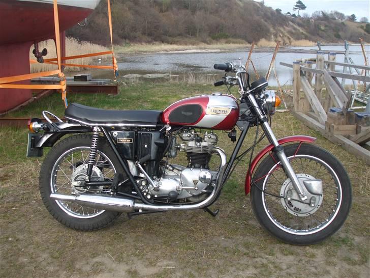 Triumph Tiger billede 6