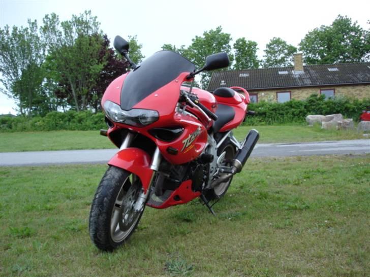 Suzuki Tl 1000 s billede 1