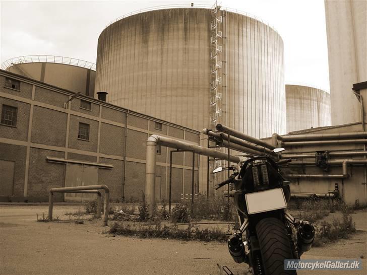 Suzuki SV1000N (K7) billede 12