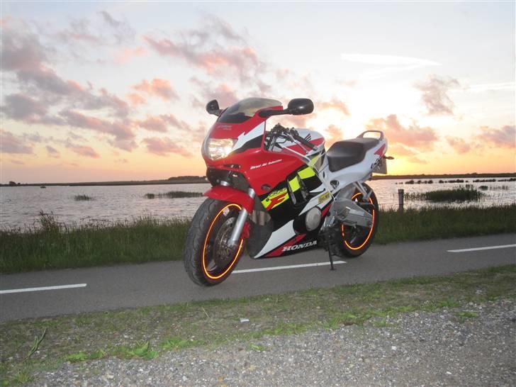 Honda CBR 600 F3 PC31 billede 14