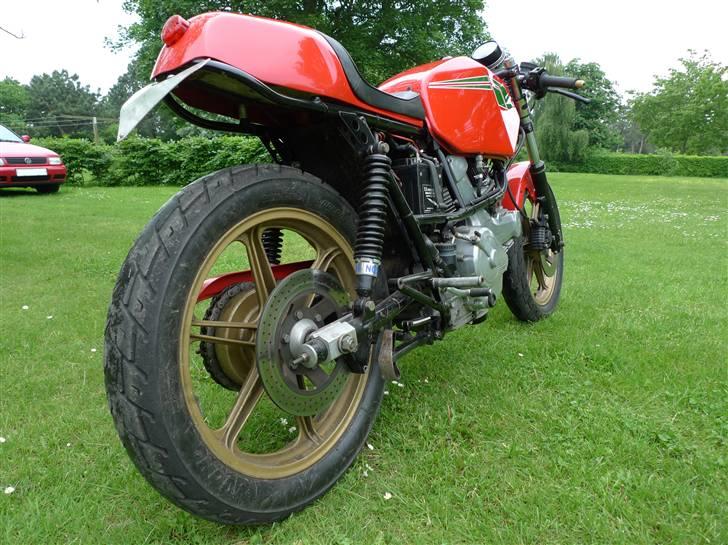 Ducati Pantah 600 caferacer billede 5