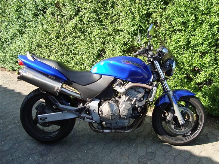 Honda CB 600 Hornet**SOLGT** billede 1