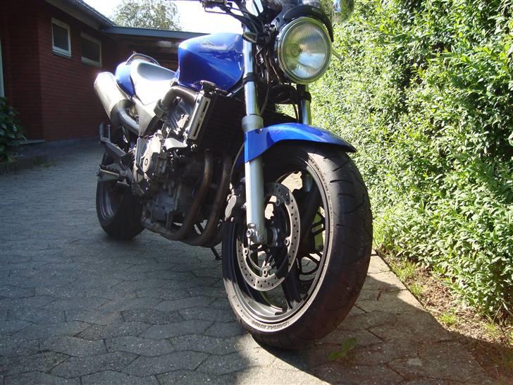 Honda CB 600 Hornet**SOLGT** billede 2