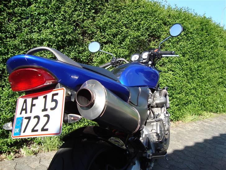 Honda CB 600 Hornet**SOLGT** billede 3