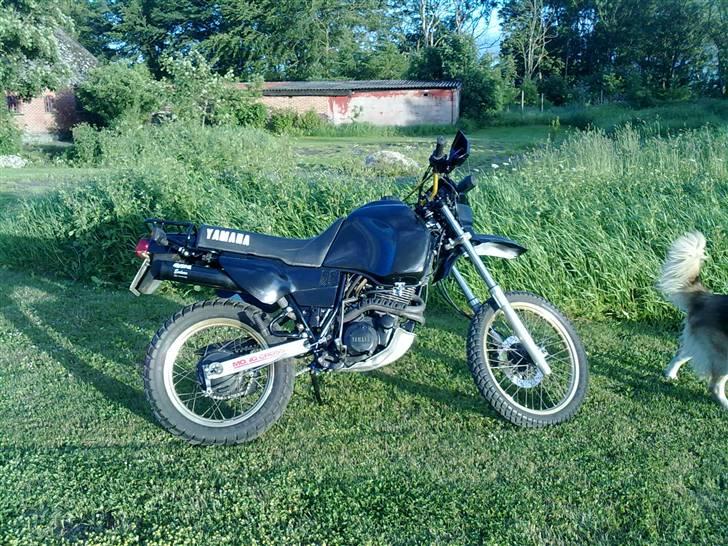 Yamaha XT 600Z Ténéré SOLGT billede 1
