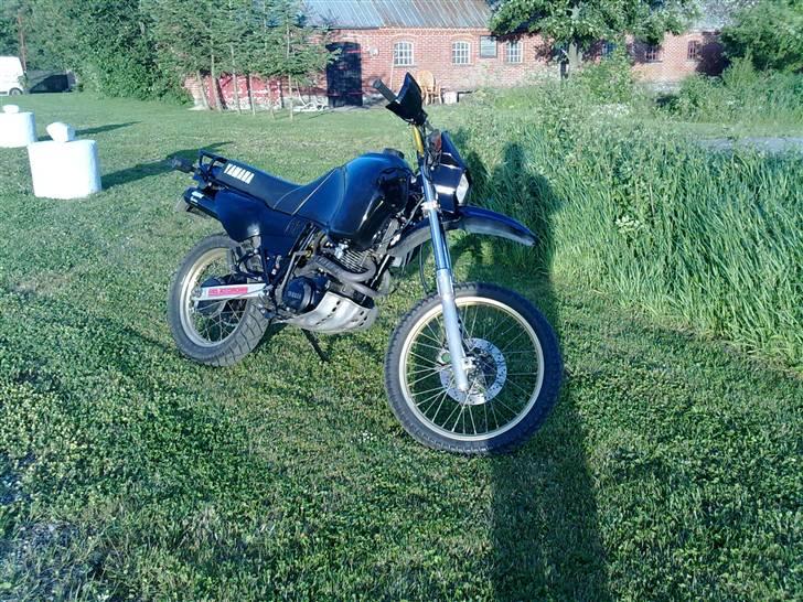 Yamaha XT 600Z Ténéré SOLGT billede 2