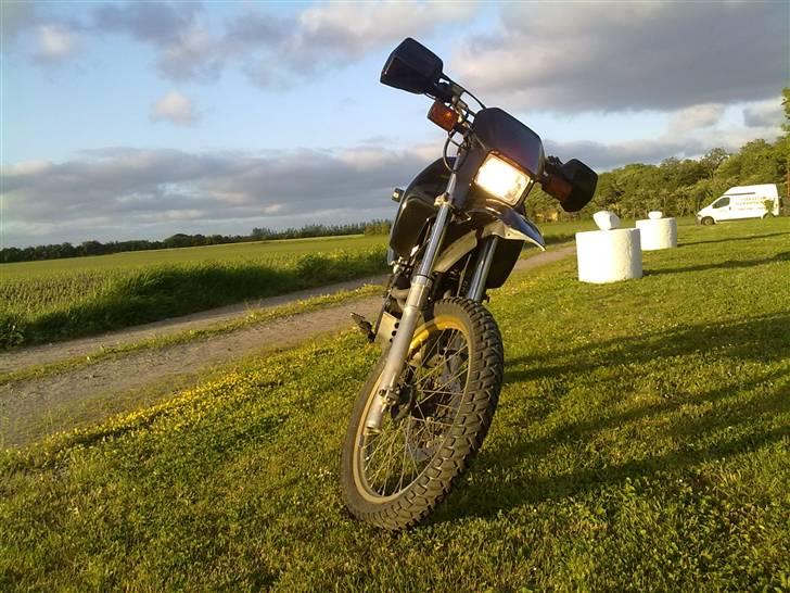 Yamaha XT 600Z Ténéré SOLGT billede 3