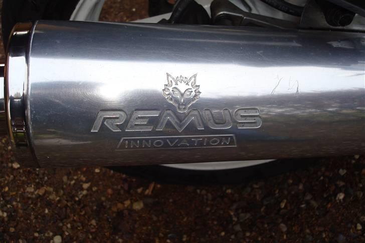 Honda 600 cbr  - Et lille billede af Musen.... billede 6