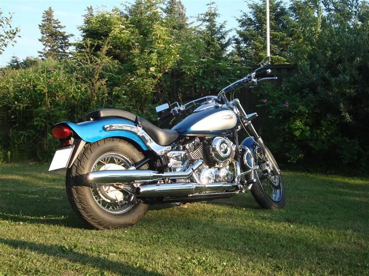 Yamaha Xvs 650 Dragstar billede 6