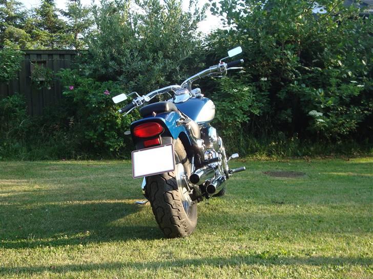 Yamaha Xvs 650 Dragstar billede 7