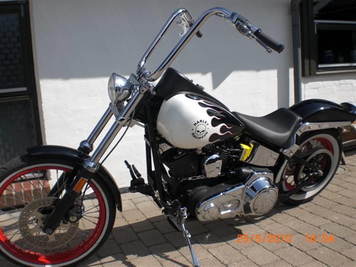 Harley Davidson Fxstc billede 15