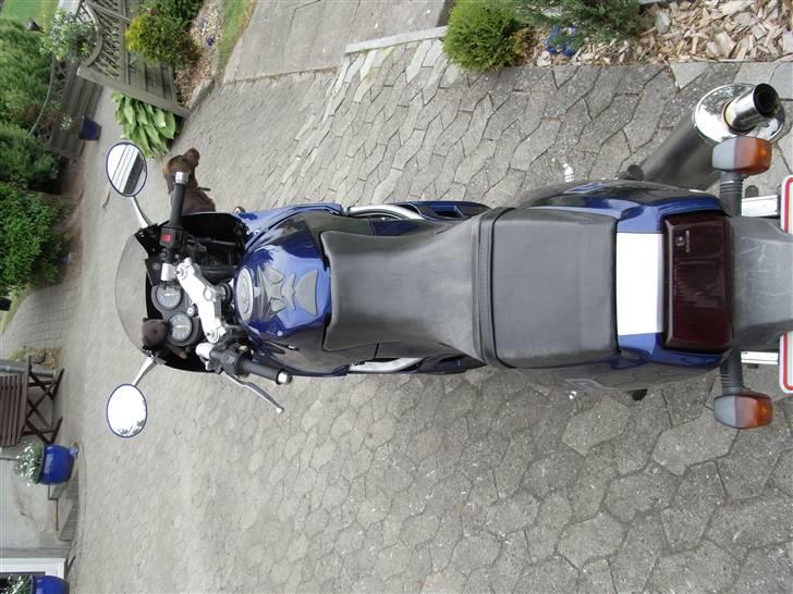 Suzuki GSX 250-R billede 5