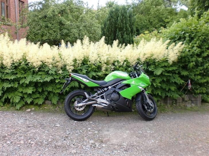 Kawasaki ER 6-f (solgt) - Billeder fra d. 19-06-2010, nu i dagslys :) billede 7