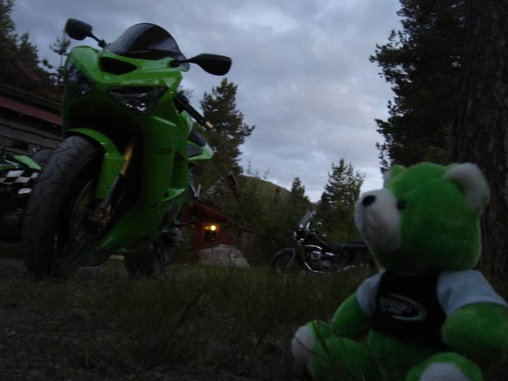 Kawasaki Zx6r 636 billede 4