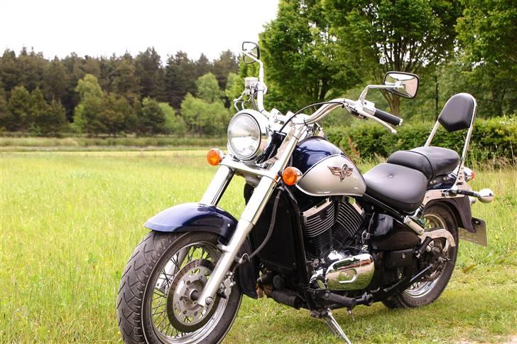 Kawasaki VN 800 Classic billede 2