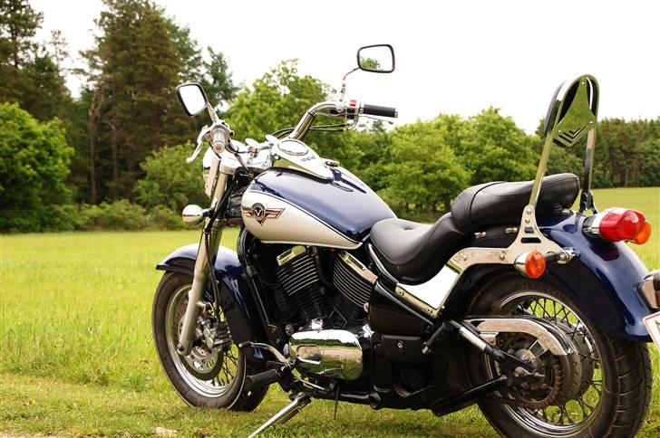 Kawasaki VN 800 Classic billede 3