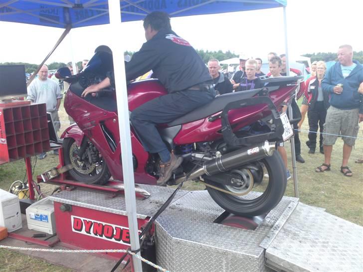 Honda cbr 1100 xx blackbird - så blev den rullet 147,8 på hjulet billede 20