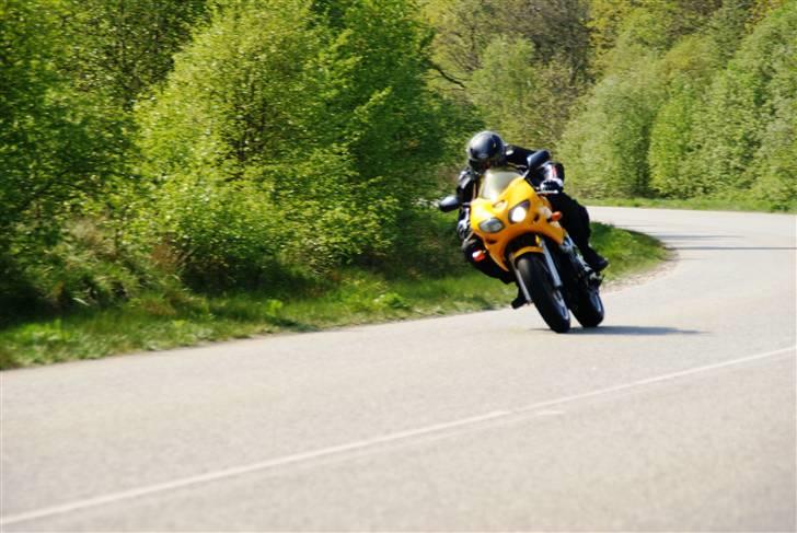 Suzuki SV 650 s billede 9