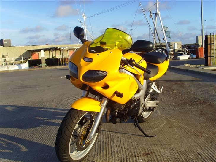 Suzuki SV 650 s billede 11