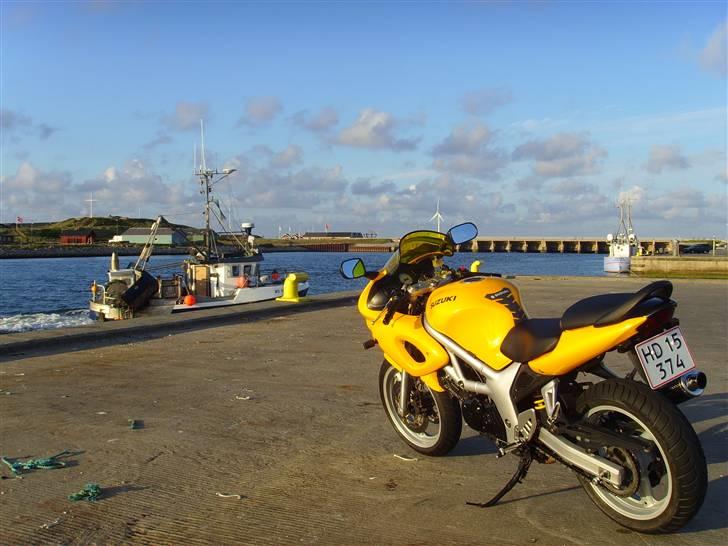 Suzuki SV 650 s billede 12