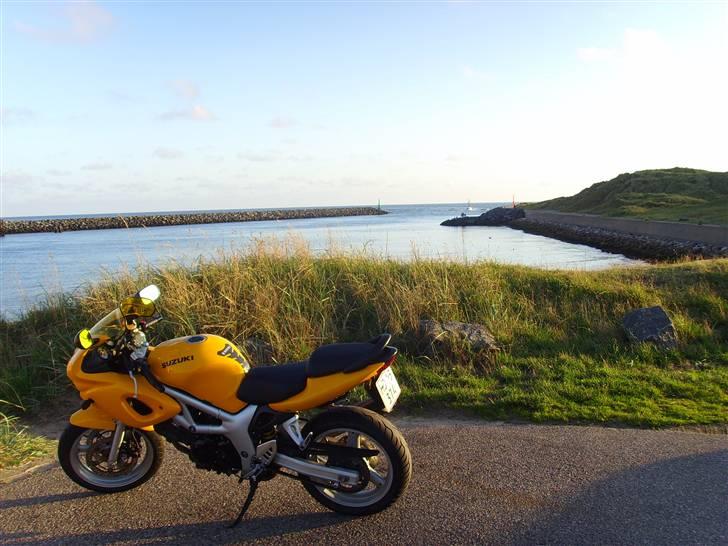 Suzuki SV 650 s billede 13