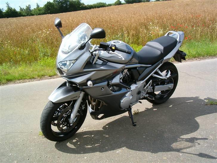 Suzuki GSF 650 SA K8 Bandit billede 10