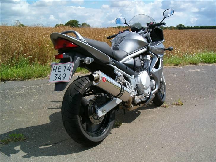 Suzuki GSF 650 SA K8 Bandit billede 12