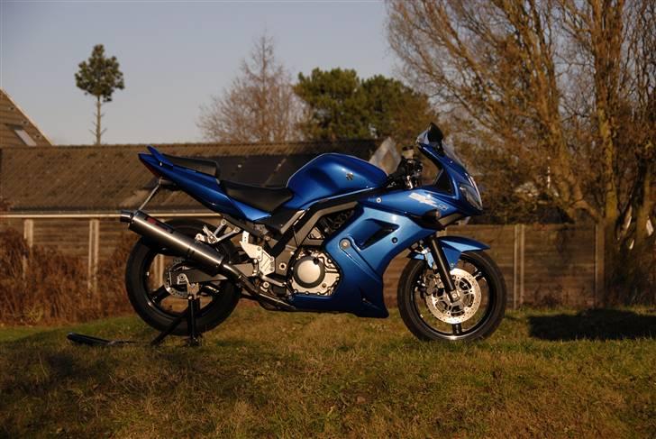 Suzuki sv  650 S billede 8