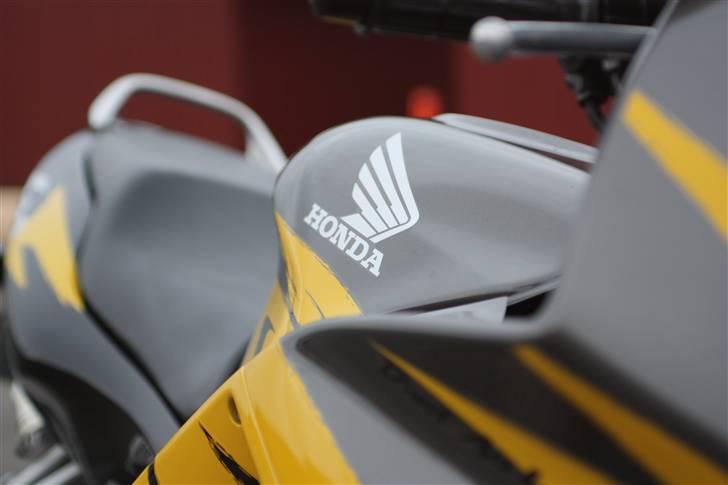 Honda CBR F3½ [tidl] - sælgers billede billede 12