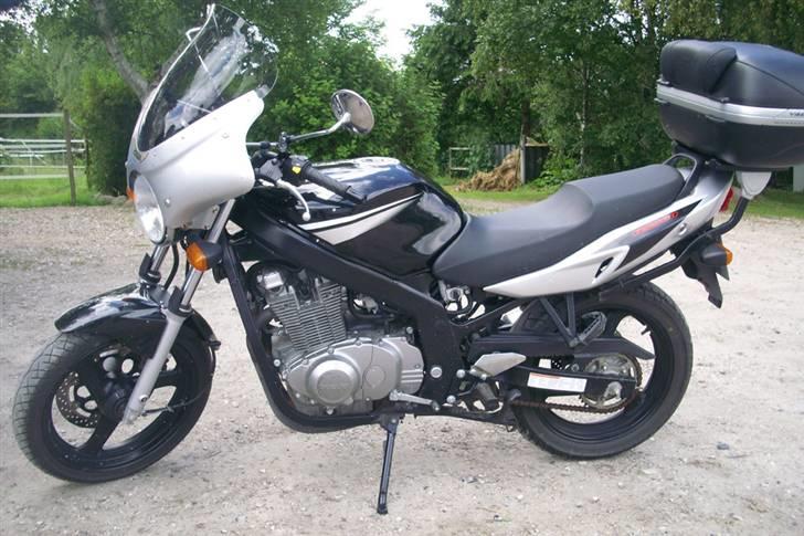 Suzuki *SOLGT* GS 500 F billede 4