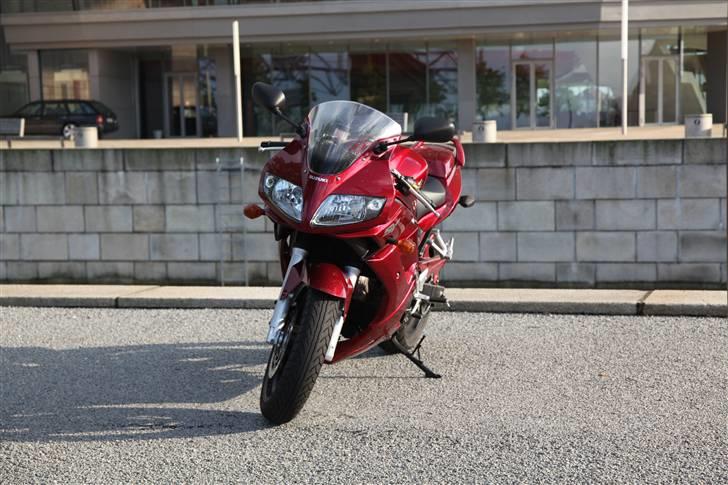 Suzuki SV 650 Candy billede 1