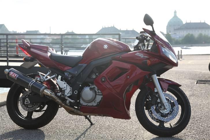 Suzuki SV 650 Candy billede 2