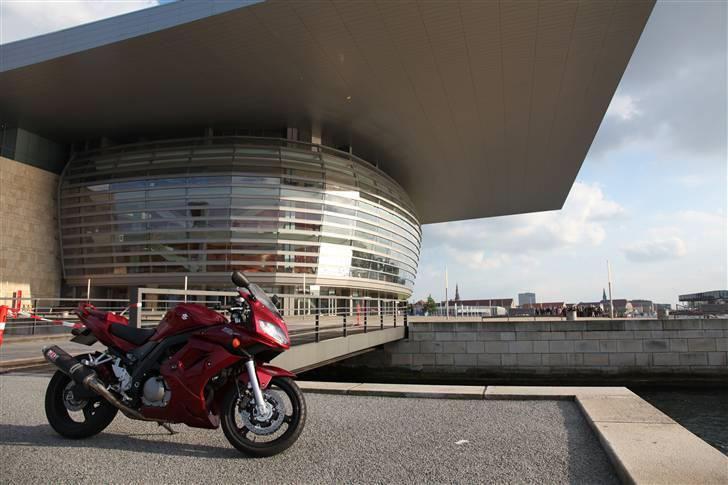 Suzuki SV 650 Candy billede 4