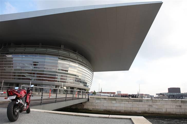 Suzuki SV 650 Candy billede 6