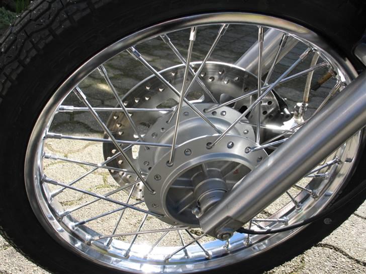 Regal Raptor DD250E-9 billede 13