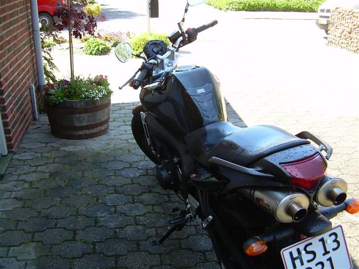 Yamaha fz6-N billede 3