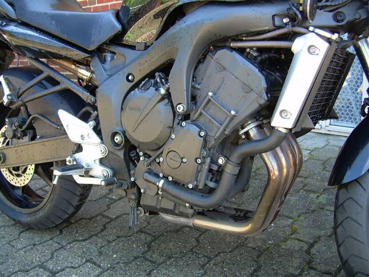 Yamaha fz6-N billede 5