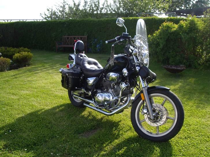 Yamaha XV 750 Virago billede 4