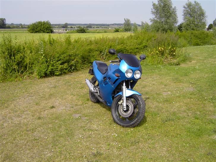 Suzuki GSX-R250 billede 10