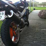 Honda CBR900 (SOLGT) snøft...:(