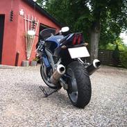 Suzuki SV 1000 S