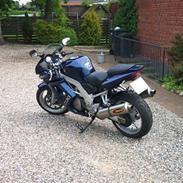 Suzuki SV 1000 S