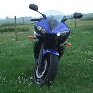 Yamaha YZF R6