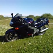 Kawasaki ZZR 1100